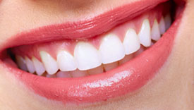 Dental Specialties